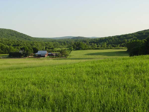 DSC00398