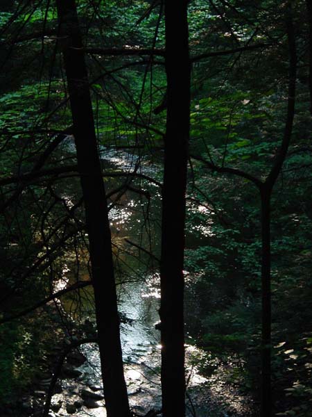 DSC00451