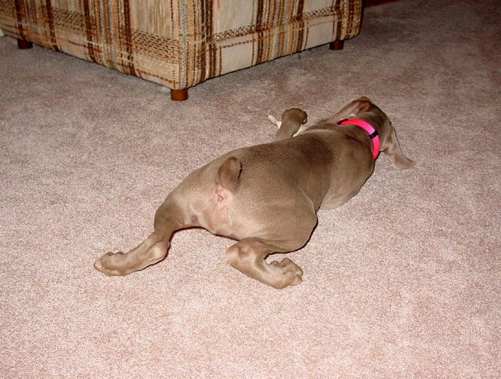 DSC02610_edited