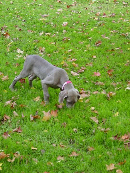 DSC02658_edited
