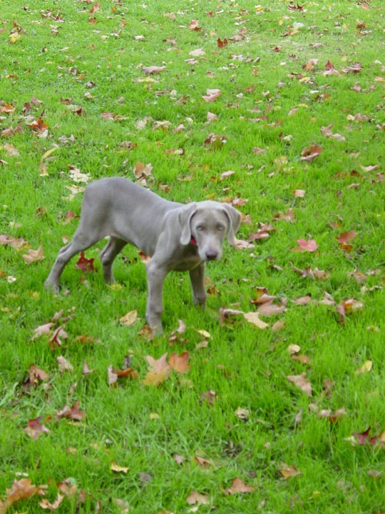DSC02659_edited