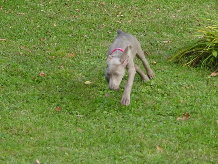 DSC02662_edited