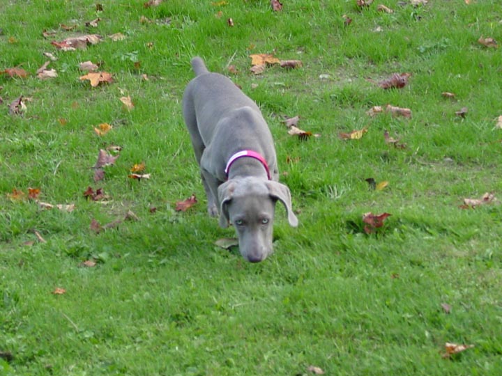 DSC02667_edited
