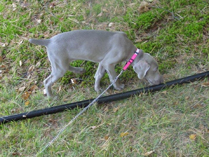 DSC02691_edited