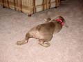 DSC02610_edited