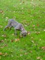 DSC02658_edited