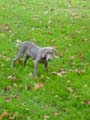 DSC02659_edited