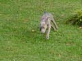 DSC02662_edited