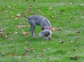 DSC02665_edited