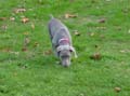 DSC02667_edited