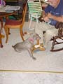 DSC02677_edited